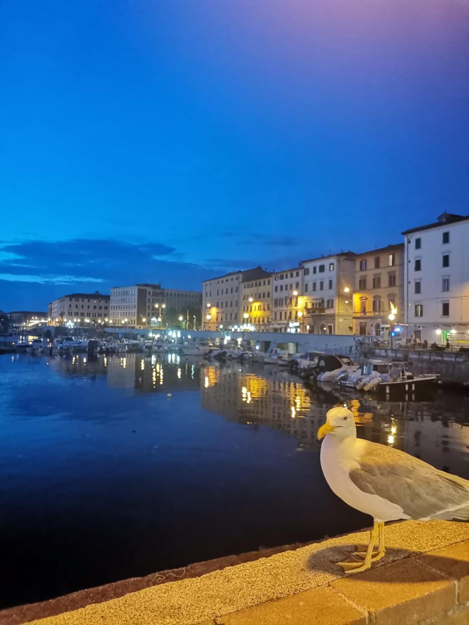 Apartmán Residenza Vittoria Livorno Exteriér fotografie